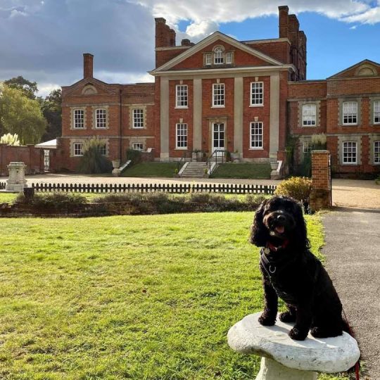 Top 10 Dogfriendly Walking Holidays