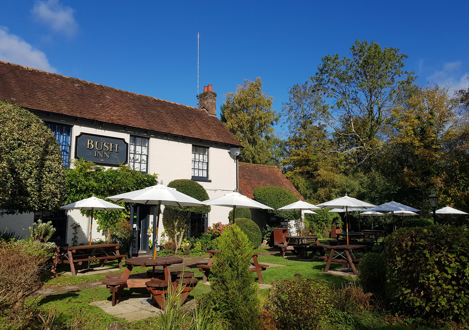Top 10 DogFriendly Pubs & Eateries in Hampshire / PetsPyjamas