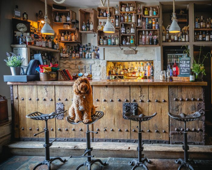Top 10 DogFriendly Pubs & Eateries in Wiltshire / PetsPyjamas
