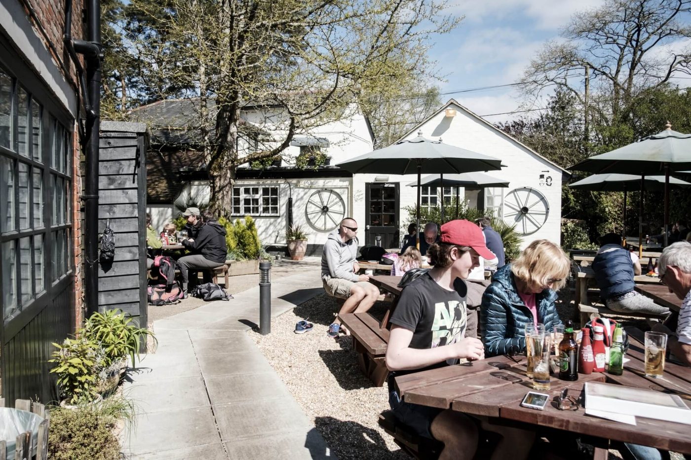 The 15 Best DogFriendly Pubs In The New Forest / PetsPyjamas