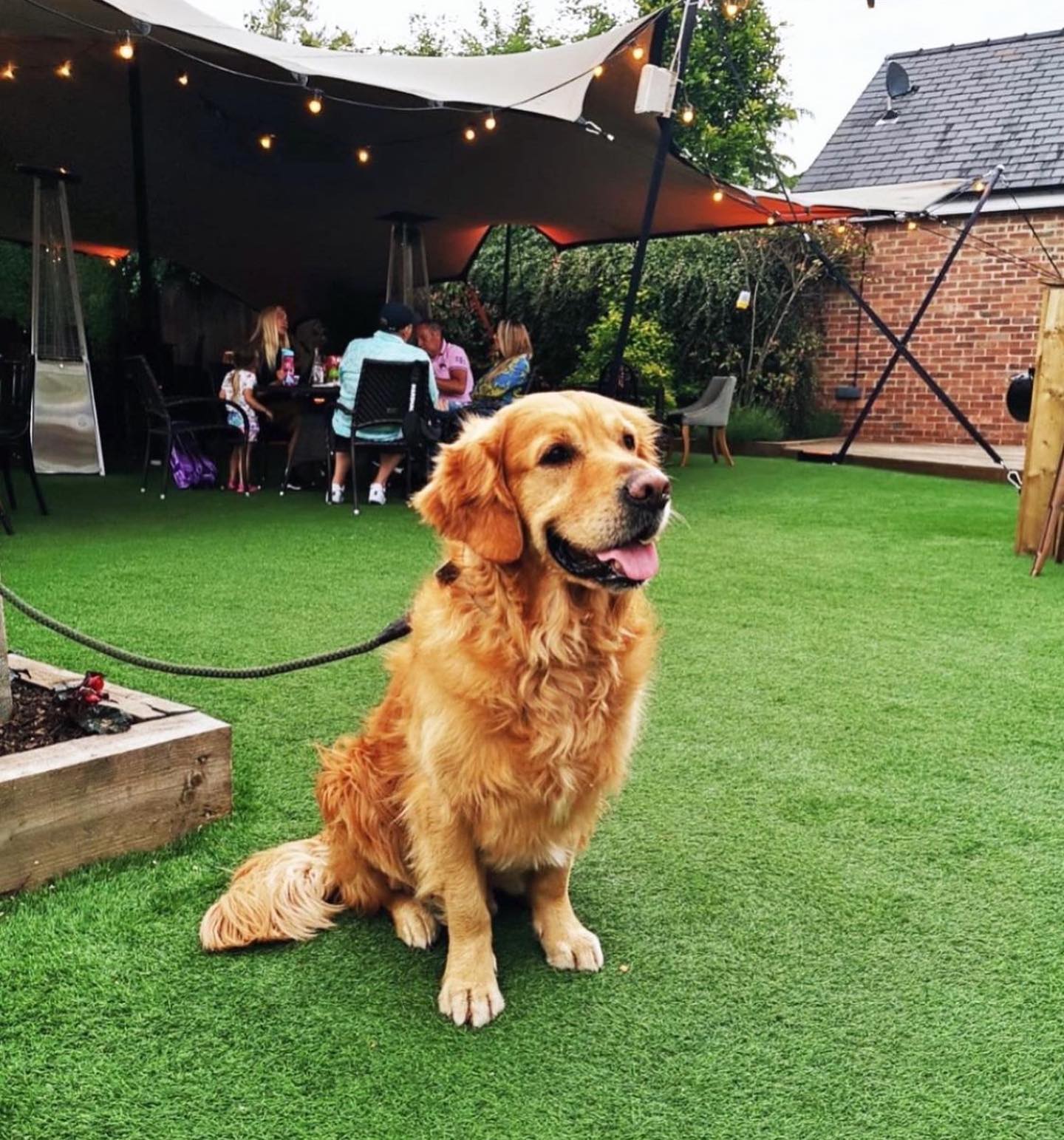 The Best DogFriendly Restaurants In The UK / PetsPyjamas