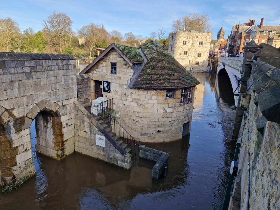 The 14 Best DogFriendly Places In York / PetsPyjamas