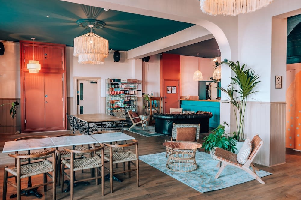 DogFriendly Hotels by the Sea / PetsPyjamas